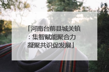 河南台前县城关镇：集智赋能聚合力 凝聚共识促发展