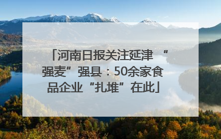 河南日报关注延津 “强麦”强县：50余家食品企业“扎堆”在此
