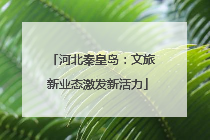 河北秦皇岛：文旅新业态激发新活力