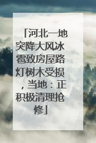 河北一地突降大风冰雹致房屋路灯树木受损，当地：正积极清理抢修
