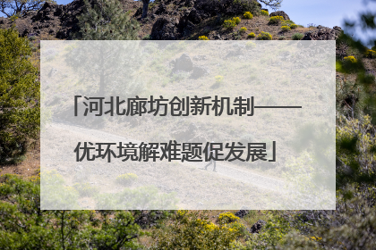 河北廊坊创新机制——优环境解难题促发展