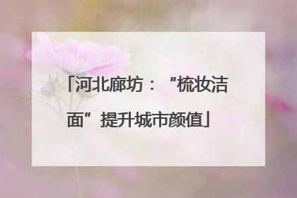 河北廊坊：“梳妆洁面”提升城市颜值
