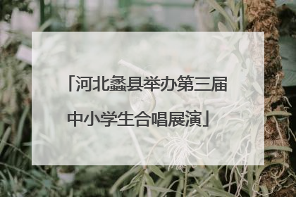 河北蠡县举办第三届中小学生合唱展演