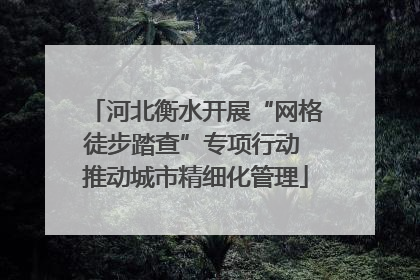 河北衡水开展“网格徒步踏查”专项行动 推动城市精细化管理