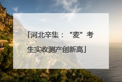 河北辛集：“麦”考生实收测产创新高