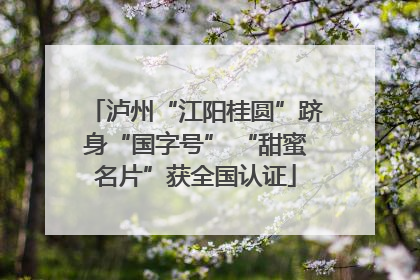 泸州“江阳桂圆”跻身“国字号” “甜蜜名片”获全国认证