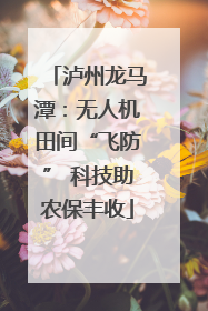 泸州龙马潭：无人机田间“飞防” 科技助农保丰收