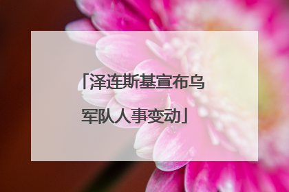 泽连斯基宣布乌军队人事变动