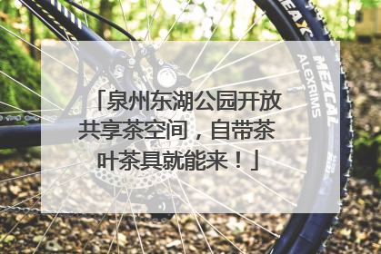 泉州东湖公园开放共享茶空间，自带茶叶茶具就能来！