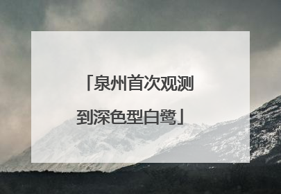 泉州首次观测到深色型白鹭