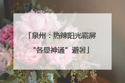 泉州：热辣阳光霸屏 “各显神通”避暑
