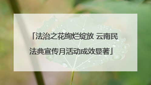 法治之花绚烂绽放 云南民法典宣传月活动成效显著