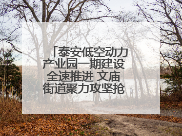 泰安低空动力产业园一期建设全速推进 文庙街道聚力攻坚抢抓“进度条”