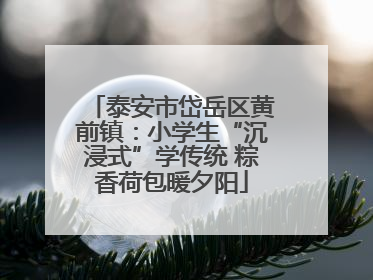 泰安市岱岳区黄前镇：小学生“沉浸式”学传统 粽香荷包暖夕阳