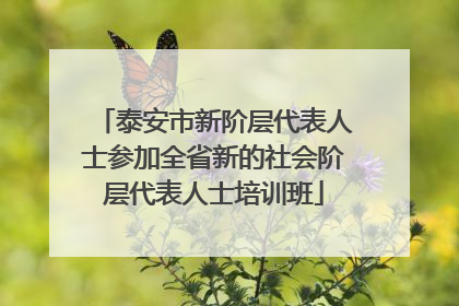 泰安市新阶层代表人士参加全省新的社会阶层代表人士培训班