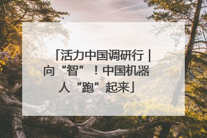 活力中国调研行｜向“智”！中国机器人“跑”起来