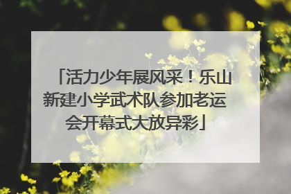 活力少年展风采！乐山新建小学武术队参加老运会开幕式大放异彩