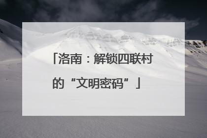 洛南：解锁四联村的“文明密码”