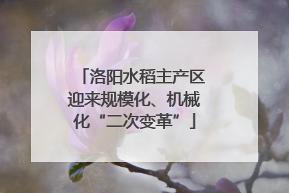 洛阳水稻主产区迎来规模化、机械化“二次变革”