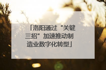 洛阳通过“关键三招”加速推动制造业数字化转型