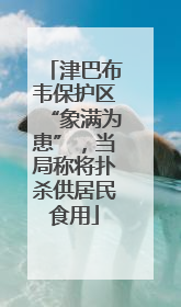 津巴布韦保护区“象满为患”，当局称将扑杀供居民食用