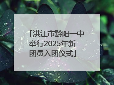 洪江市黔阳一中举行2025年新团员入团仪式