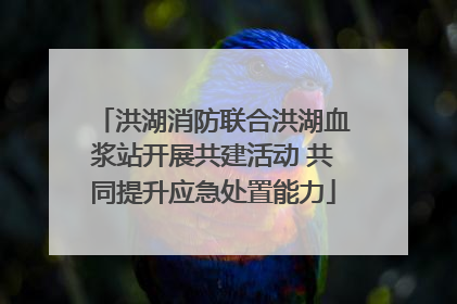 洪湖消防联合洪湖血浆站开展共建活动 共同提升应急处置能力