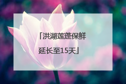 洪湖莲蓬保鲜延长至15天