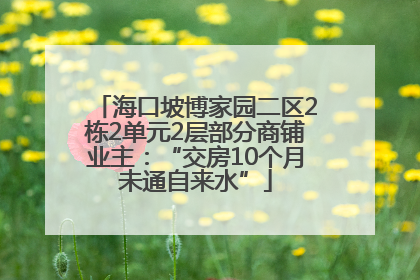海口坡博家园二区2栋2单元2层部分商铺业主：“交房10个月未通自来水”