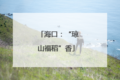 海口：“琼山福稻”香