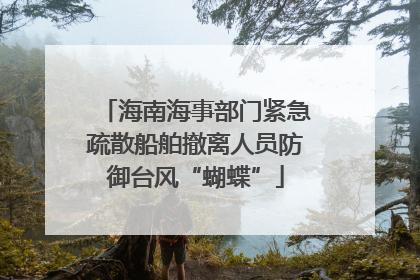 海南海事部门紧急疏散船舶撤离人员防御台风“蝴蝶”