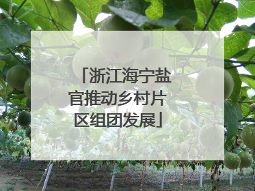 浙江海宁盐官推动乡村片区组团发展