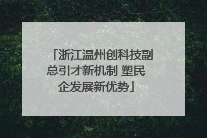 浙江温州创科技副总引才新机制 塑民企发展新优势