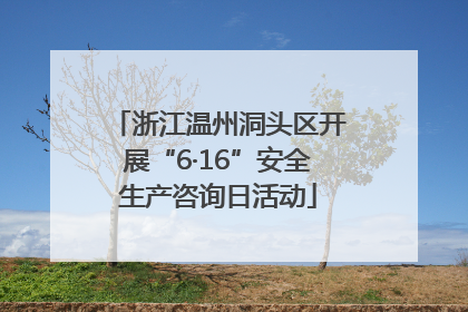 浙江温州洞头区开展“6·16”安全生产咨询日活动