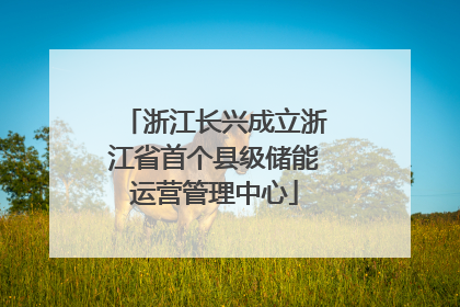 浙江长兴成立浙江省首个县级储能运营管理中心