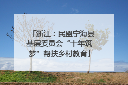 浙江：民盟宁海县基层委员会“十年筑梦”帮扶乡村教育