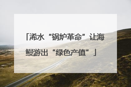 浠水“锅炉革命”让海鳗游出“绿色产值”
