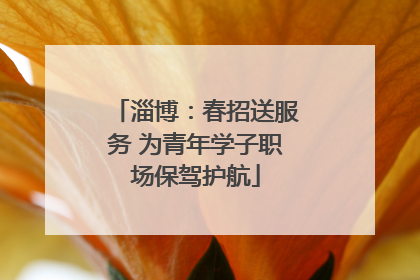 淄博：春招送服务 为青年学子职场保驾护航