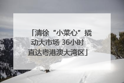 清徐“小菜心”撬动大市场 36小时直达粤港澳大湾区