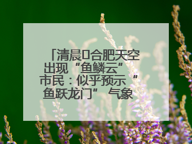 清晨﻿合肥天空出现“鱼鳞云” 市民：似乎预示“鱼跃龙门” 气象专家科普