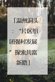温州洞头：“片区组团强村发展”探索共富新路