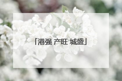 港强 产旺 城盛
