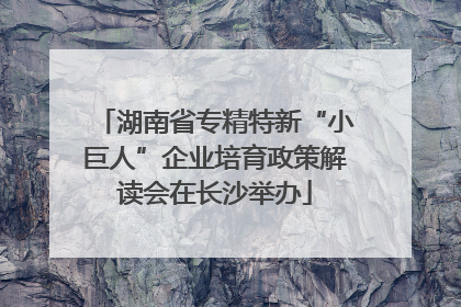 湖南省专精特新“小巨人”企业培育政策解读会在长沙举办