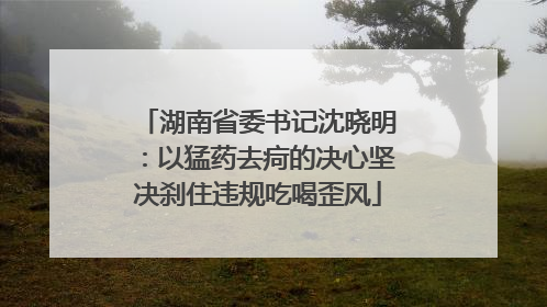 湖南省委书记沈晓明：以猛药去疴的决心坚决刹住违规吃喝歪风