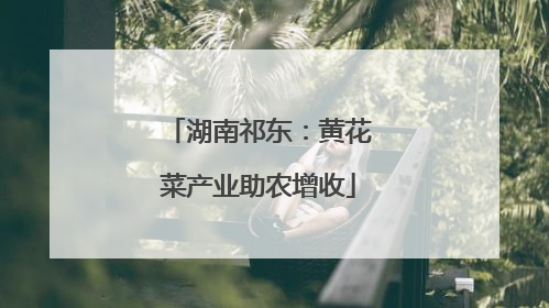 湖南祁东：黄花菜产业助农增收