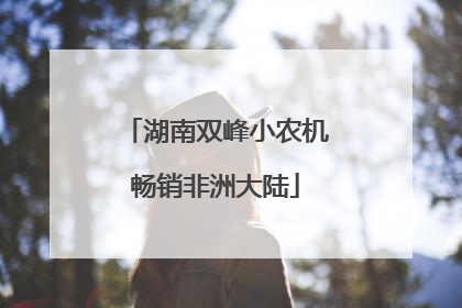湖南双峰小农机畅销非洲大陆