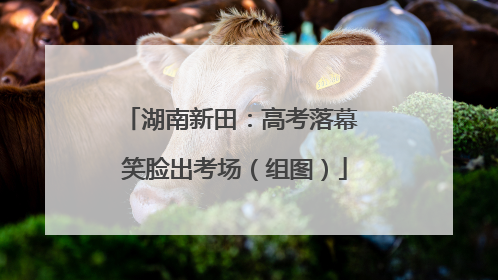 湖南新田：高考落幕 笑脸出考场（组图）
