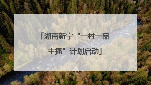 湖南新宁“一村一品一主播”计划启动