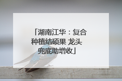 湖南江华：复合种植结硕果 龙头兜底助增收