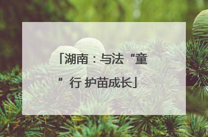 湖南：与法“童”行 护苗成长